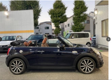 [NEW ARRIVAL] Mini Cooper 2.0S Convertible - Black SUV (2021) - Malaysia Recond Car